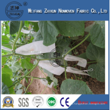 Anti-UV Protector in PP Polypropylene Spunbond Nonwoven Fabric for Agriculture Cover